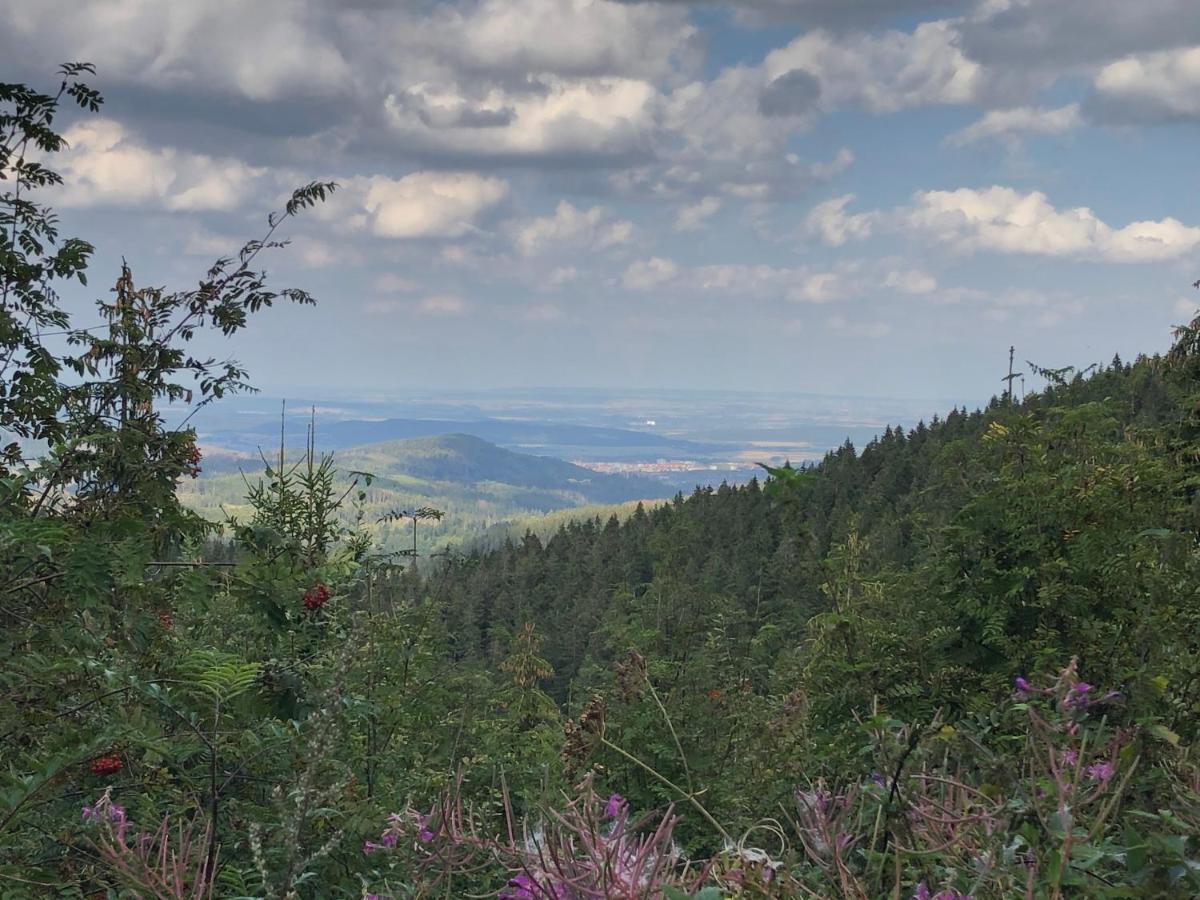 גוסלר Bocksbergglueck In Hahnenklee, Endreinigung, Bezogene Betten, Handtuecher Inklusive מראה חיצוני תמונה