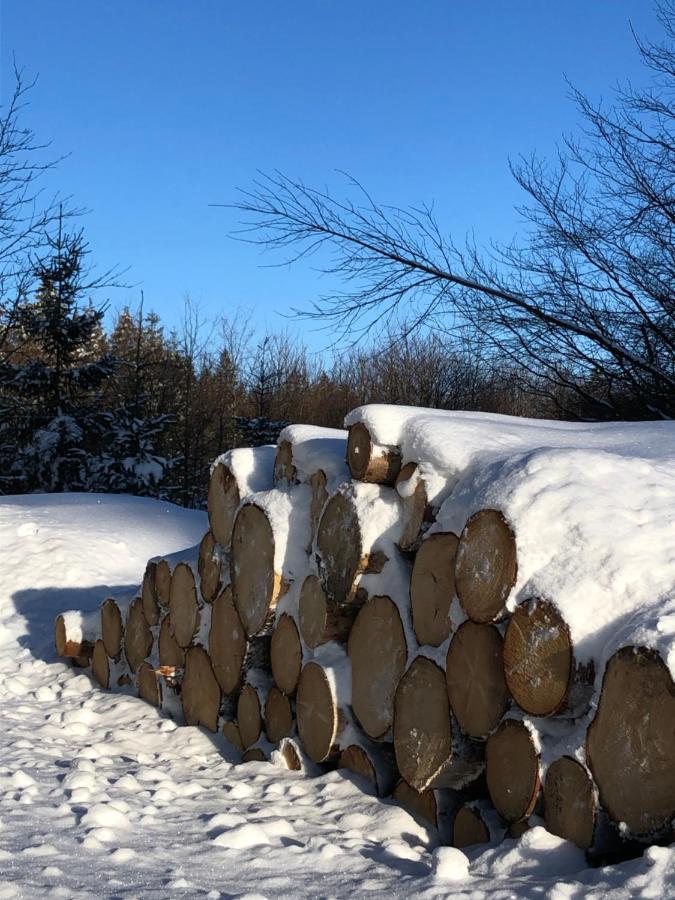גוסלר Bocksbergglueck In Hahnenklee, Endreinigung, Bezogene Betten, Handtuecher Inklusive מראה חיצוני תמונה