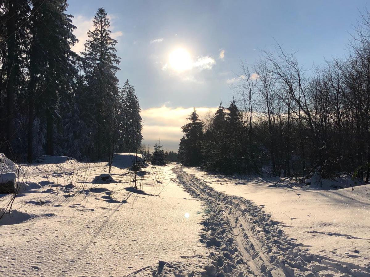גוסלר Bocksbergglueck In Hahnenklee, Endreinigung, Bezogene Betten, Handtuecher Inklusive מראה חיצוני תמונה